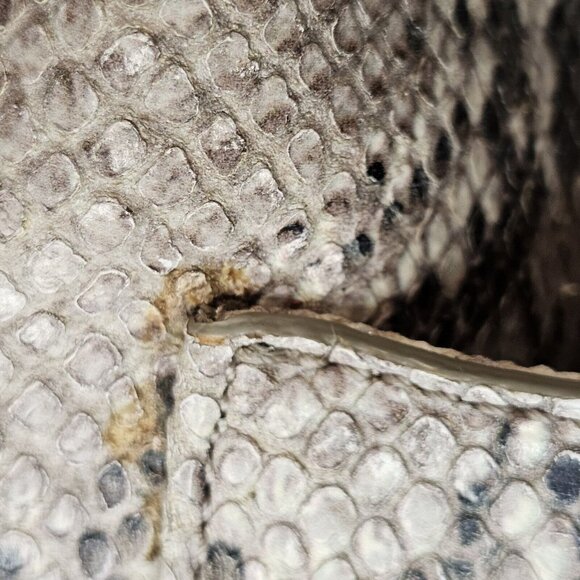 Y2K Cole Haan Python Snakeprint Leather Big Hobo Bag Purse Cream Taupe Buckles - Picture 13 of 16